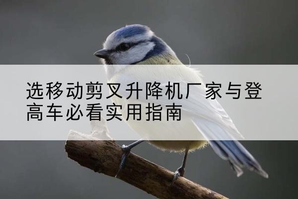 濮阳电动升降机厂家-选移动剪叉升降机厂家与登高车必看实用指南