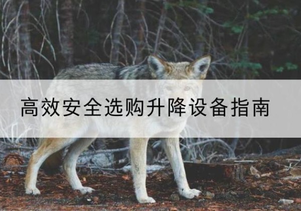 濮阳升降货梯厂家推荐-*安全选购升降设备指南