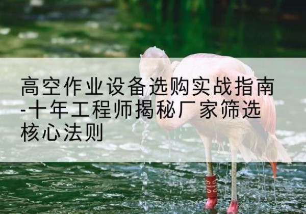 濮阳剪叉式升降机厂家-高空作业设备选购实战指南-十年工程师揭秘厂家筛选核心法则