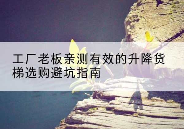 濮阳升降货梯怎么选-工厂老板亲测有效的升降货梯选购避坑指南